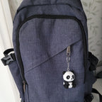 Unknown Pandas Keyring