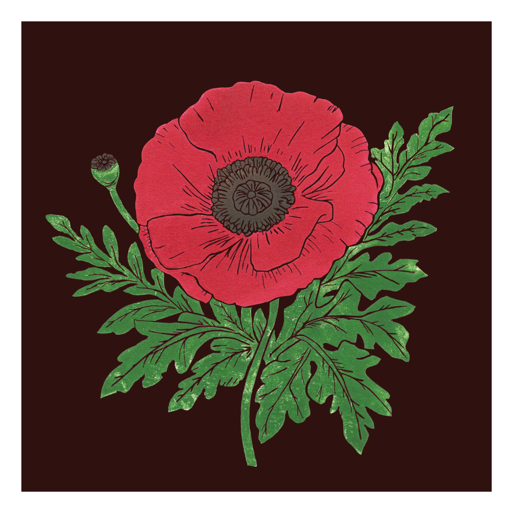 Poppy Greetings Card