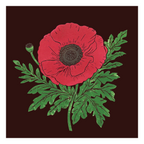 Poppy Greetings Card