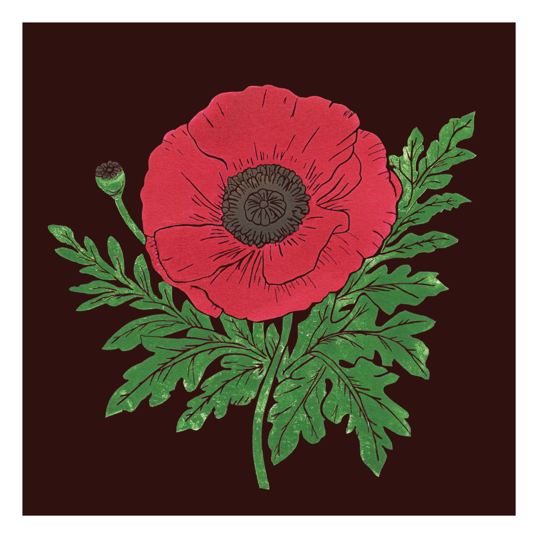 Poppy Greetings Card
