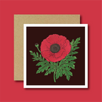 Poppy Greetings Card